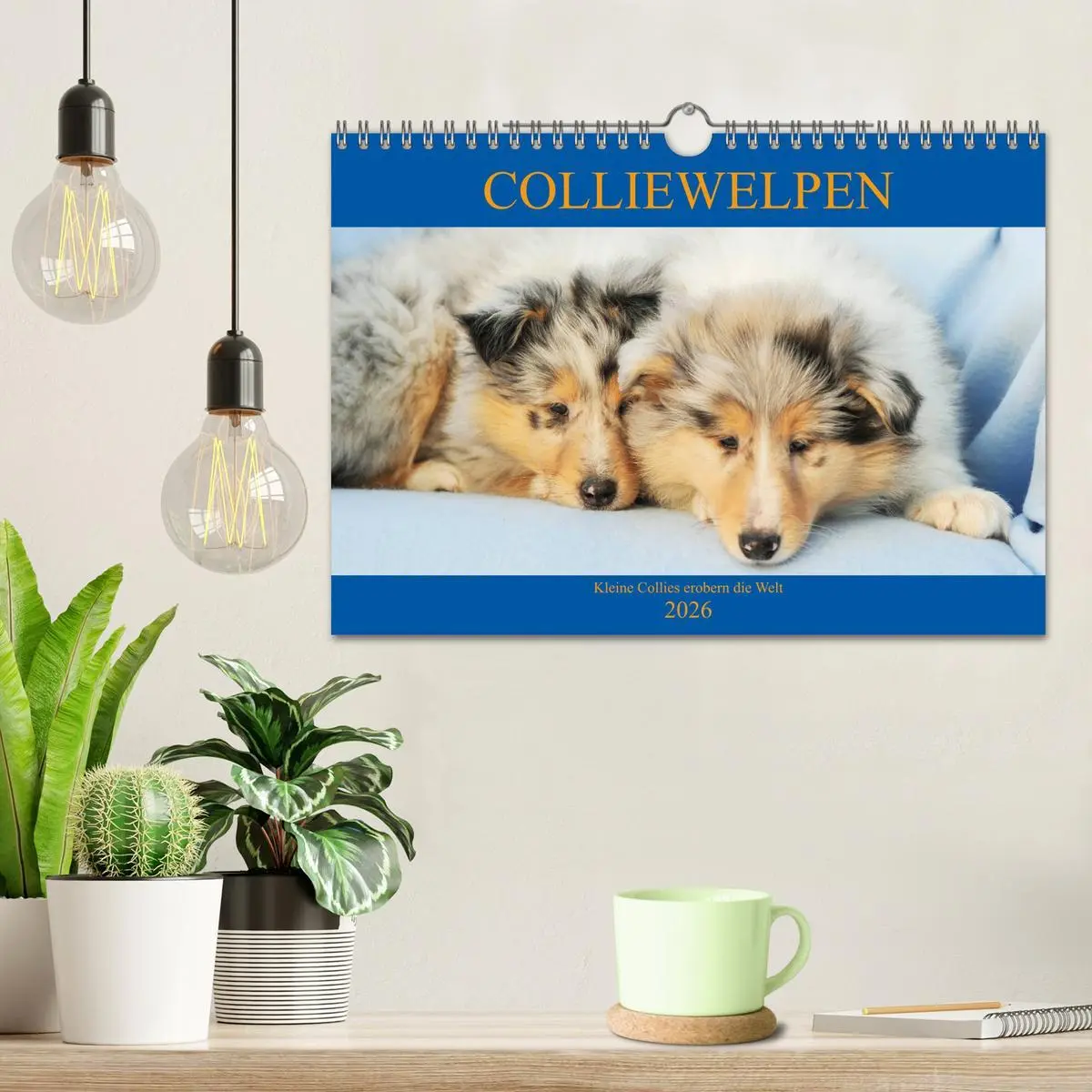 Bild: 9783457811252 | Colliewelpen - kleine Collies erobern die Welt (Wandkalender 2026...