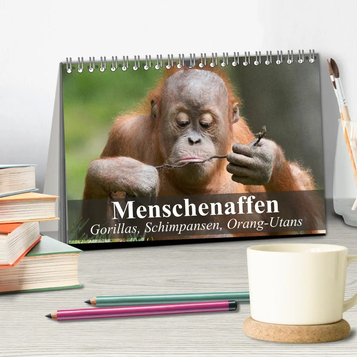 Bild: 9783516071252 | Menschenaffen. Gorillas, Schimpansen, Orang-Utans (Tischkalender...