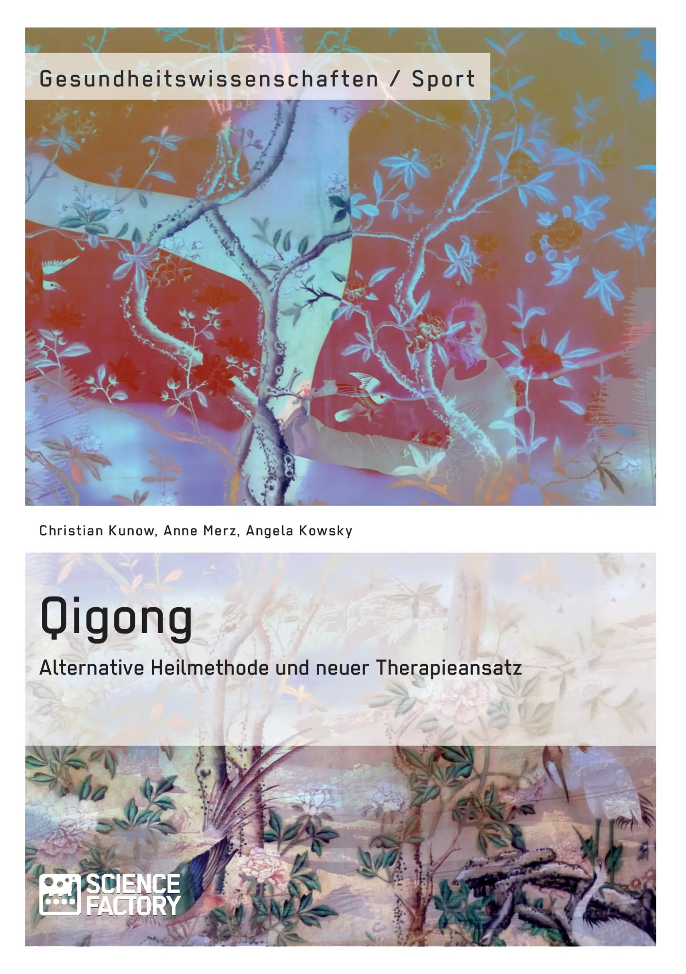 Cover: 9783956871252 | Qigong - Alternative Heilmethode und neuer Therapieansatz | Buch