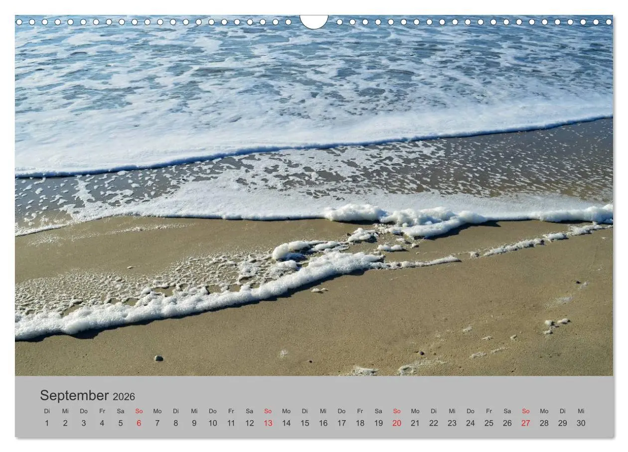 Bild: 9783457971352 | Impressionen von Texel (Wandkalender 2026 DIN A3 quer), CALVENDO...