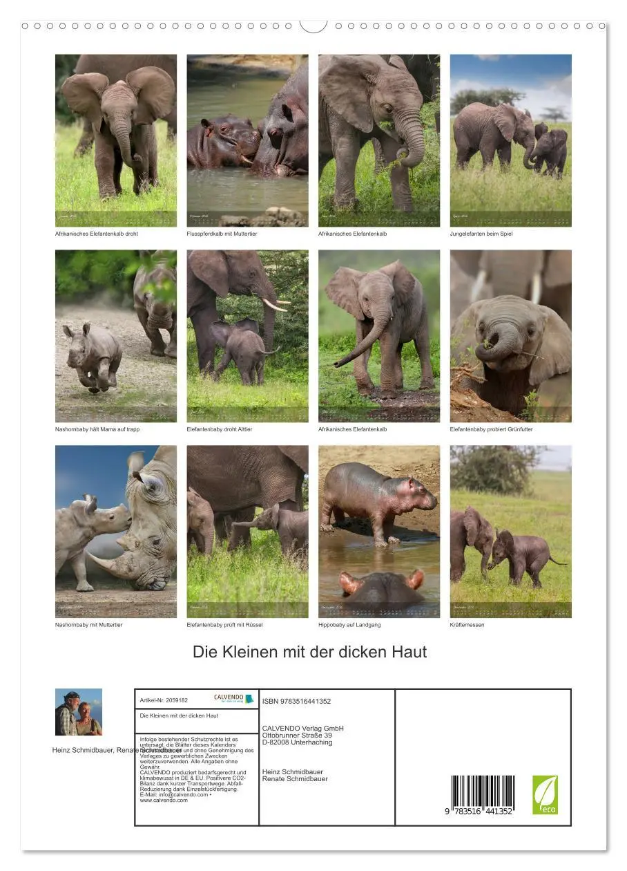 Bild: 9783516441352 | Die Kleinen mit der dicken Haut (hochwertiger Premium Wandkalender...