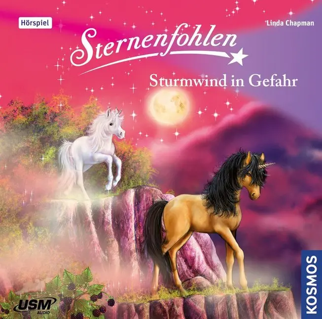 Cover: 9783803231352 | Sternenfohlen - Sturmwind in Gefahr, 1 Audio-CD | Sturmwind in Gefahr