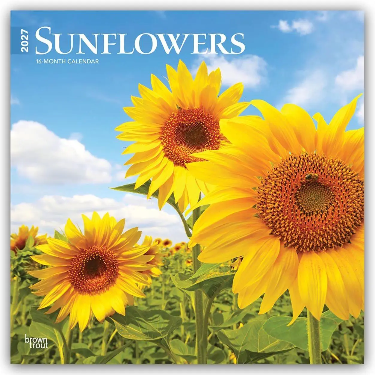 Cover: 9798330711352 | Sunflowers - Sonnenblumen 2027 - 16-Monatskalender | Publishers | 2027