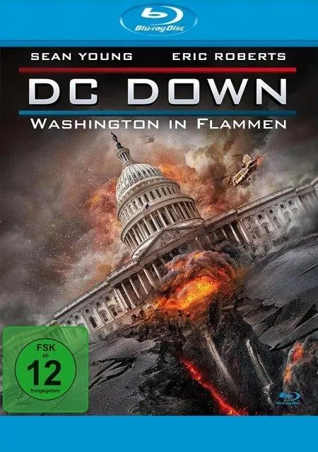 DC Down - Washington in Flammen
