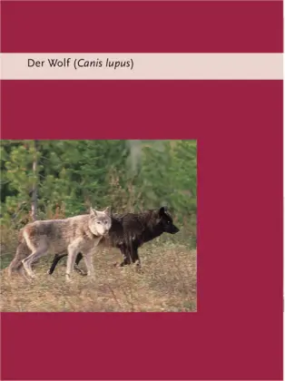 Bild: 9783440101452 | Der Wolf im Hundepelz | Günther Bloch | Buch | 208 S. | Deutsch | 2004