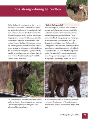 Bild: 9783440101452 | Der Wolf im Hundepelz | Günther Bloch | Buch | 208 S. | Deutsch | 2004