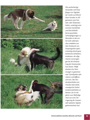 Bild: 9783440101452 | Der Wolf im Hundepelz | Günther Bloch | Buch | 208 S. | Deutsch | 2004