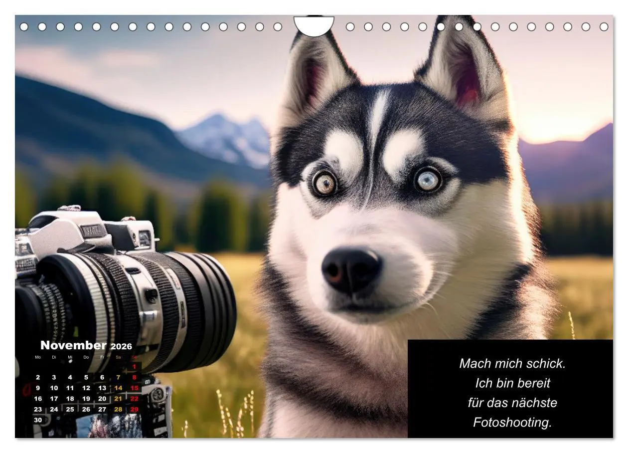 Bild: 9783457331552 | Der tierisch lustige Husky Kalender (Wandkalender 2026 DIN A4...