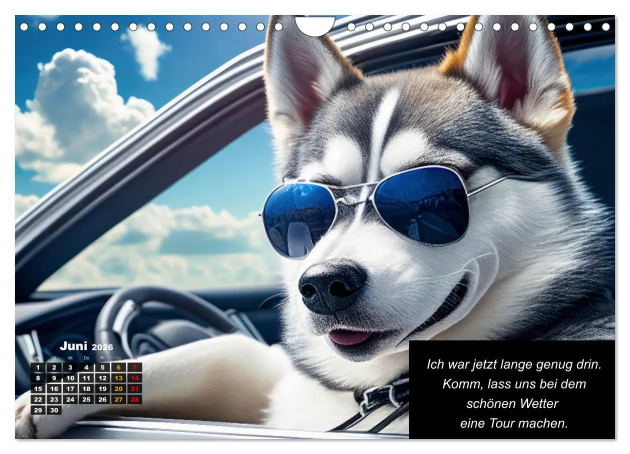Bild: 9783457331552 | Der tierisch lustige Husky Kalender (Wandkalender 2026 DIN A4...