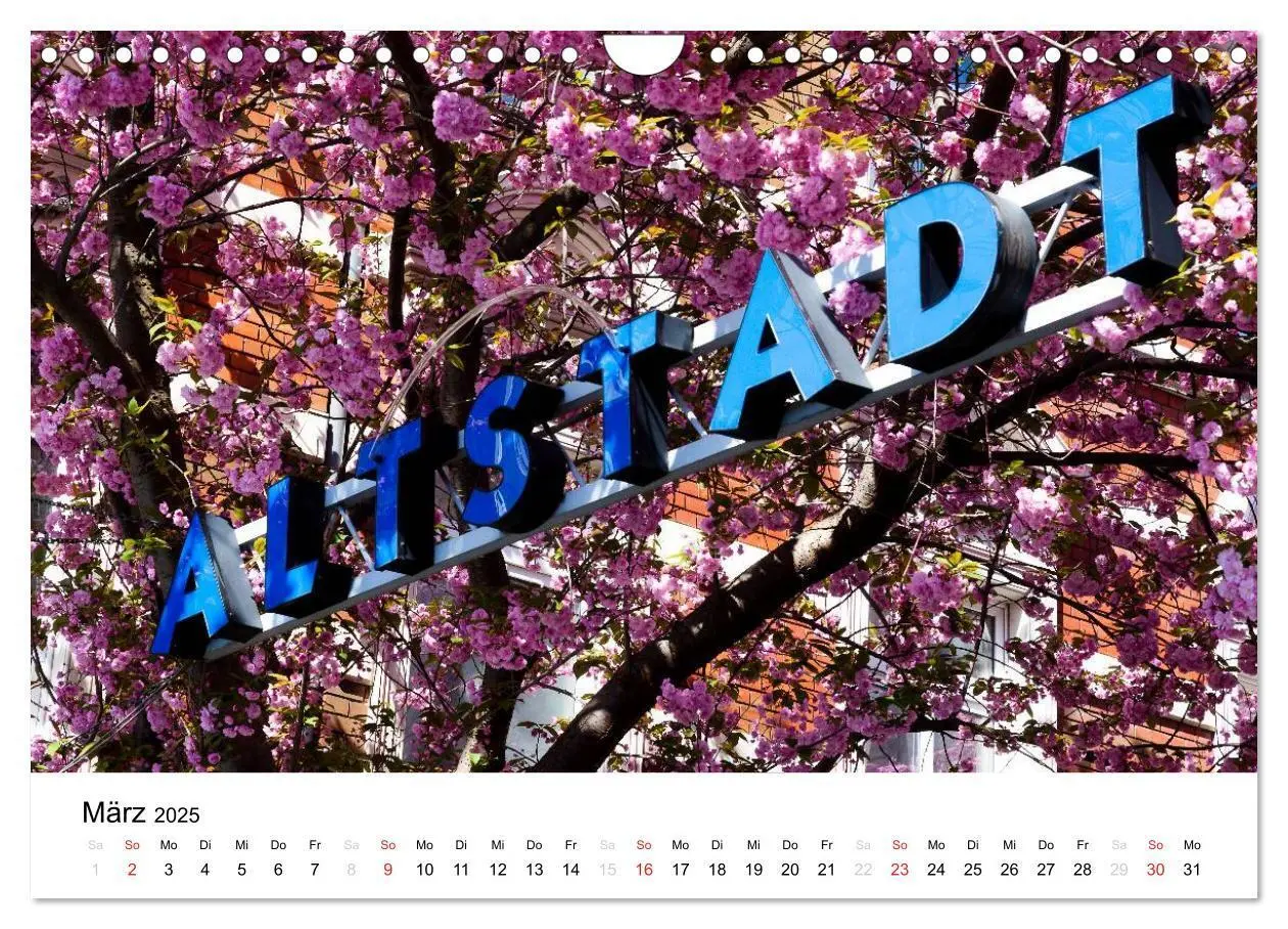 Bild: 9783435611652 | Bonn - Kirschblütenfest in der Altstadt (Wandkalender 2025 DIN A4...