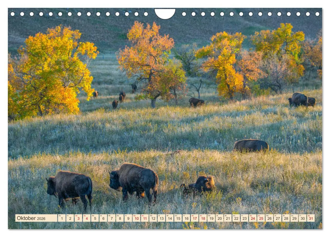 Bild: 9783457321652 | Sioux Im Lande von Sitting Bull (Wandkalender 2026 DIN A4 quer),...