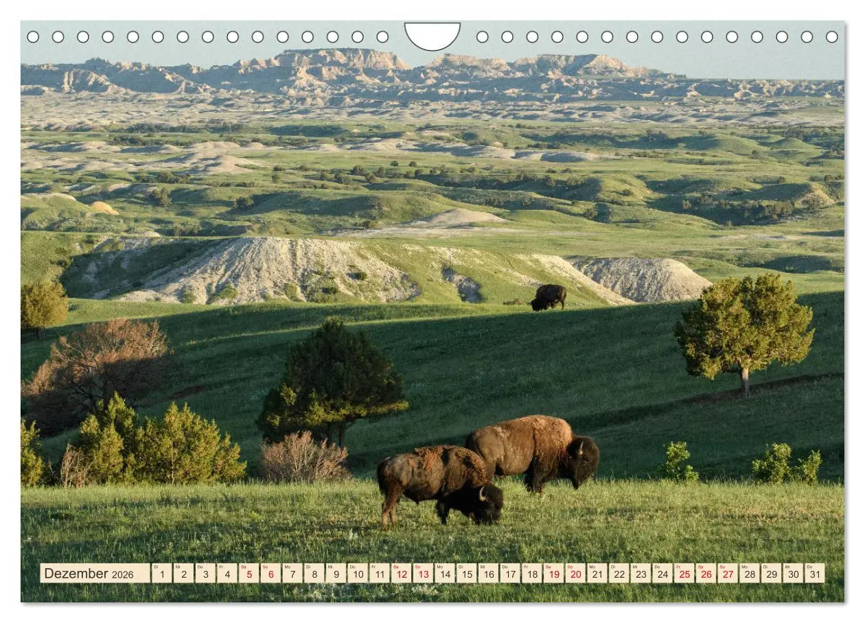 Bild: 9783457321652 | Sioux Im Lande von Sitting Bull (Wandkalender 2026 DIN A4 quer),...