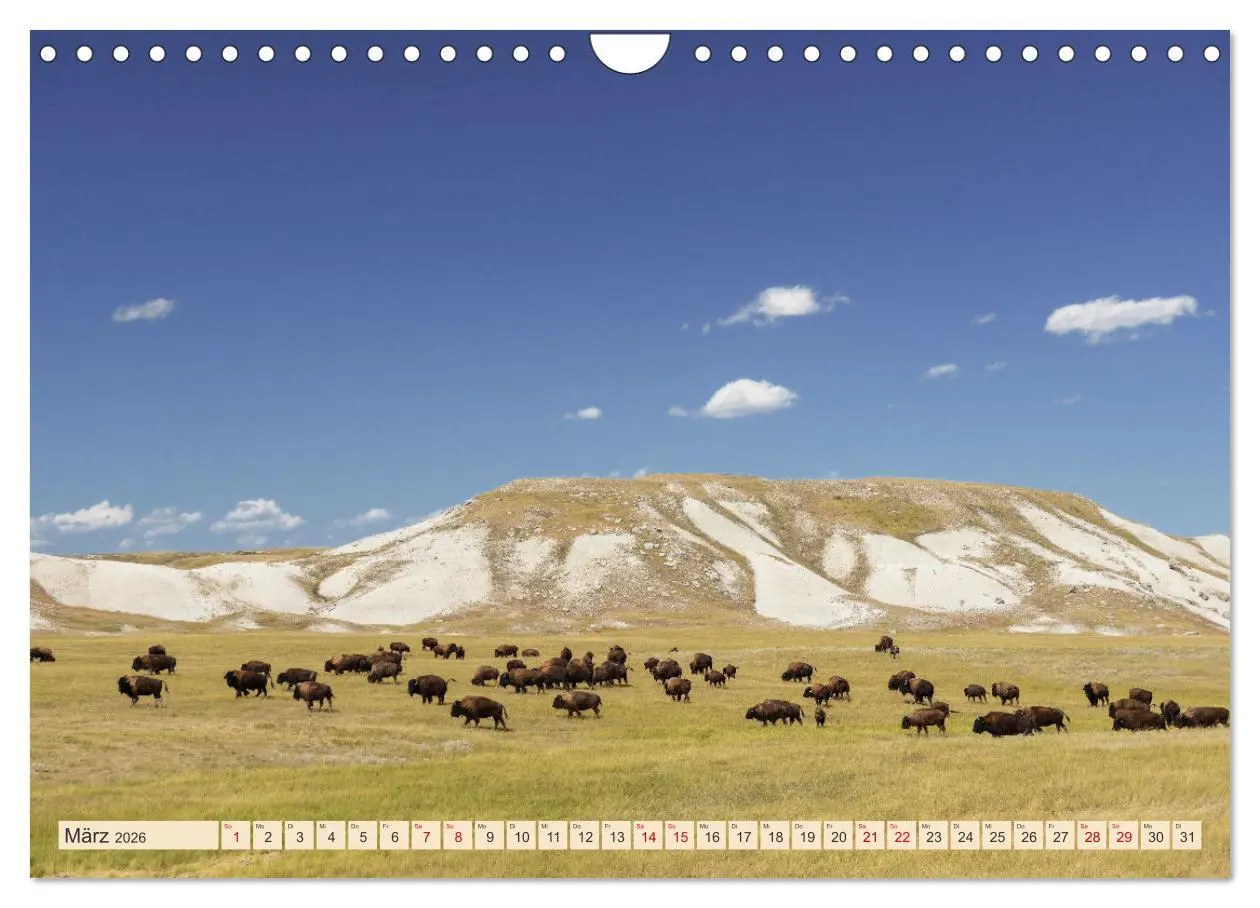 Bild: 9783457321652 | Sioux Im Lande von Sitting Bull (Wandkalender 2026 DIN A4 quer),...
