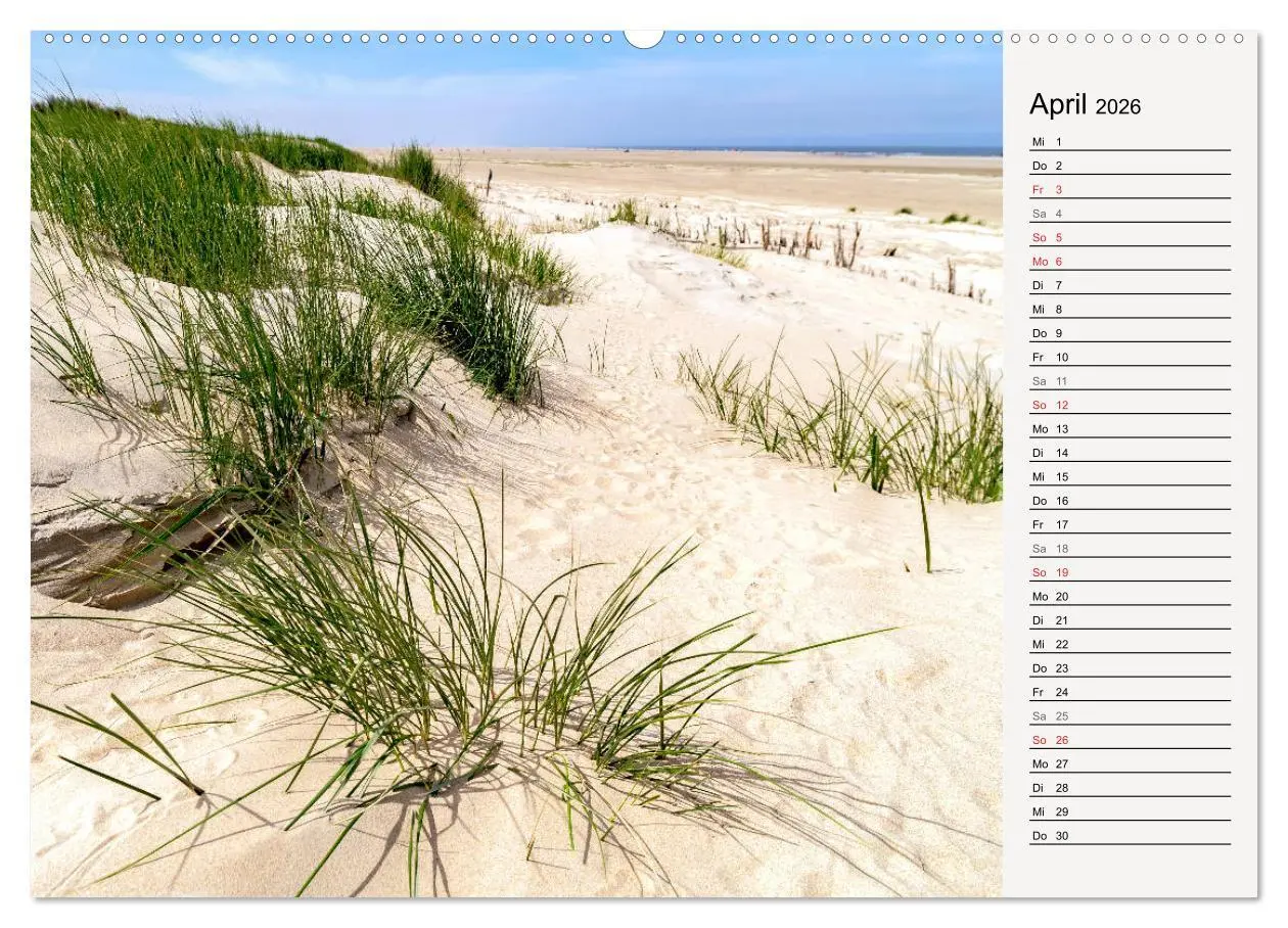 Bild: 9783457701652 | BORKUM Geburtstagskalender mit Planerfunktion (hochwertiger Premium...