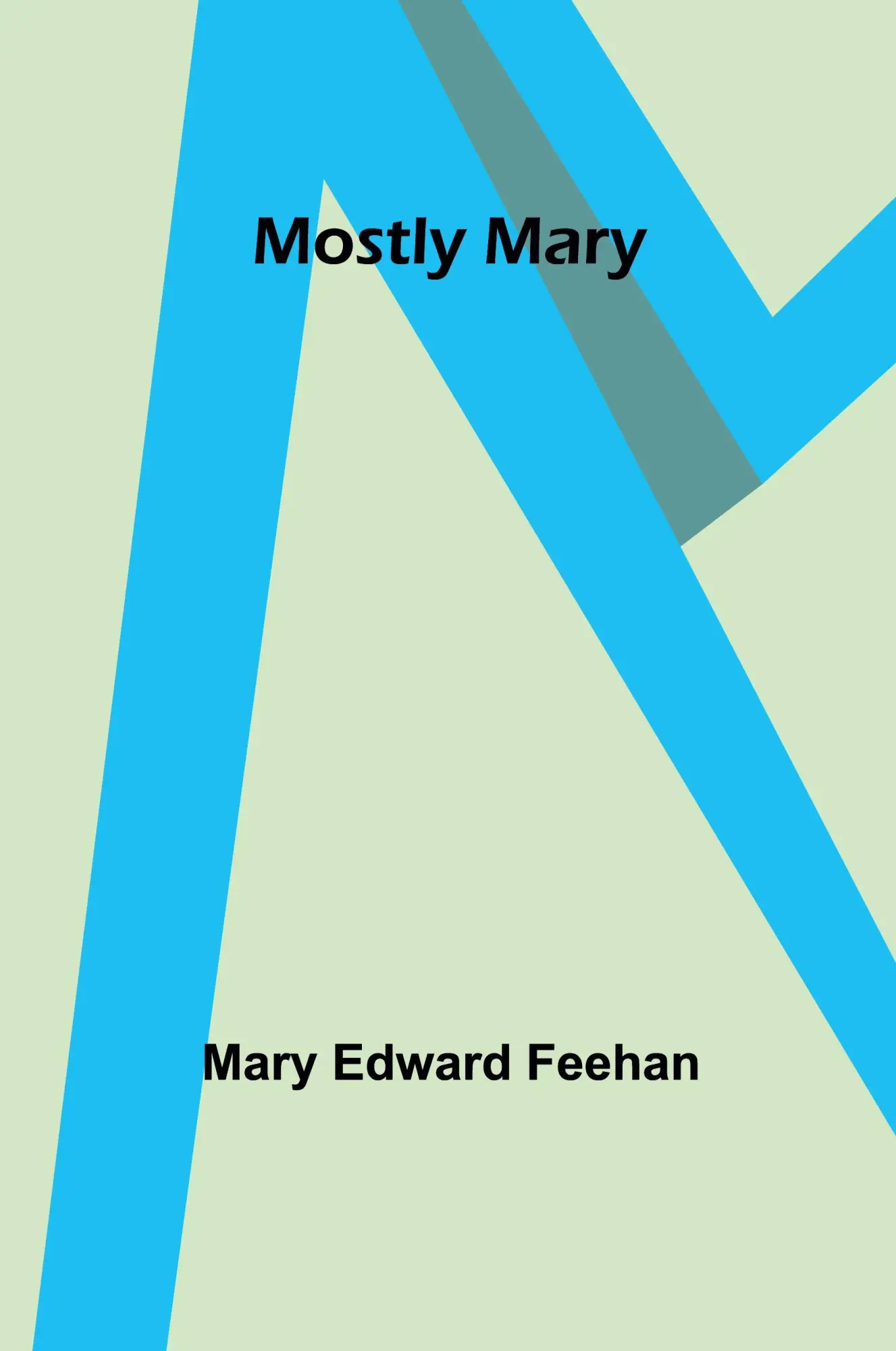 Cover: 9789357971652 | Mostly Mary | Mary Edward Feehan | Taschenbuch | Englisch | 2023