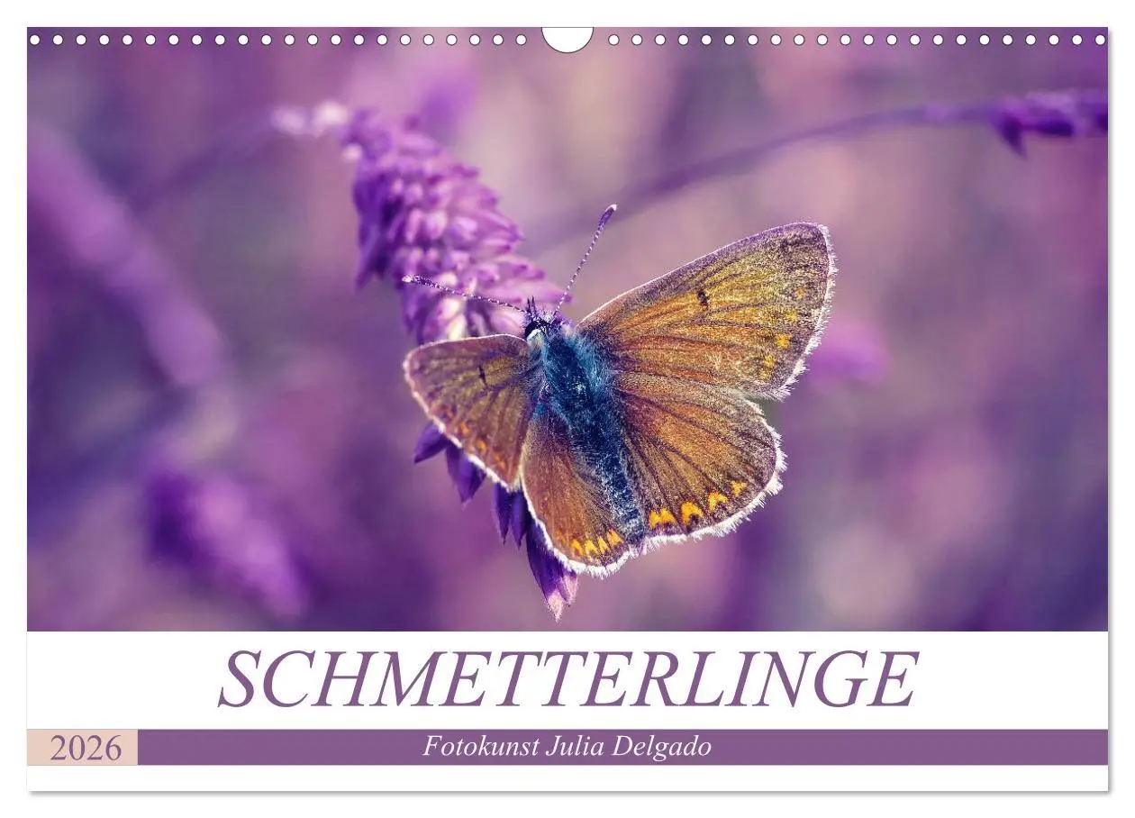 Cover: 9783457931752 | Schmetterlinge im Fokus (Wandkalender 2026 DIN A3 quer), CALVENDO...