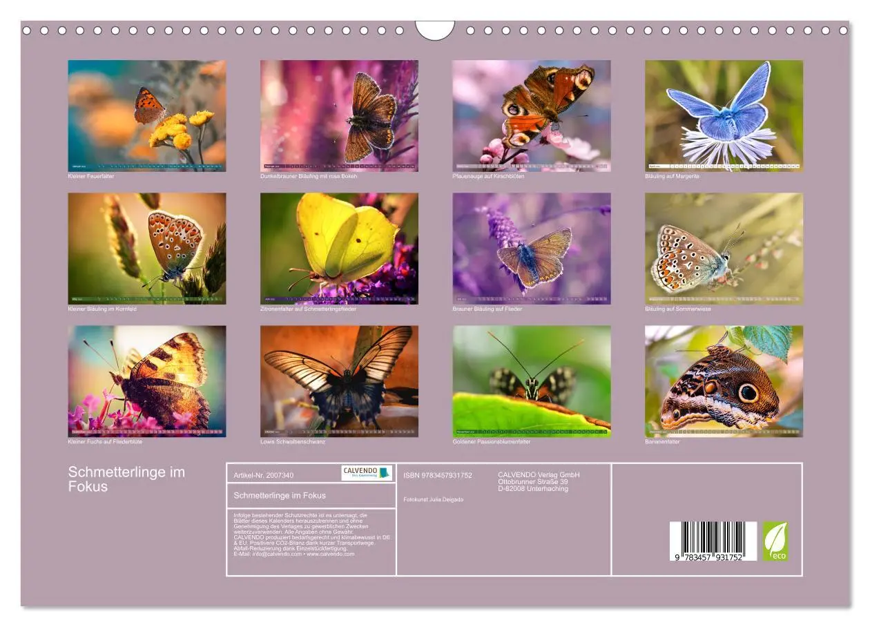 Bild: 9783457931752 | Schmetterlinge im Fokus (Wandkalender 2026 DIN A3 quer), CALVENDO...