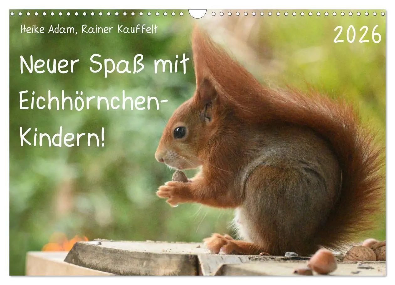 Cover: 9783516021752 | Neuer Spaß mit Eichhörnchen-Kindern (Wandkalender 2026 DIN A3...