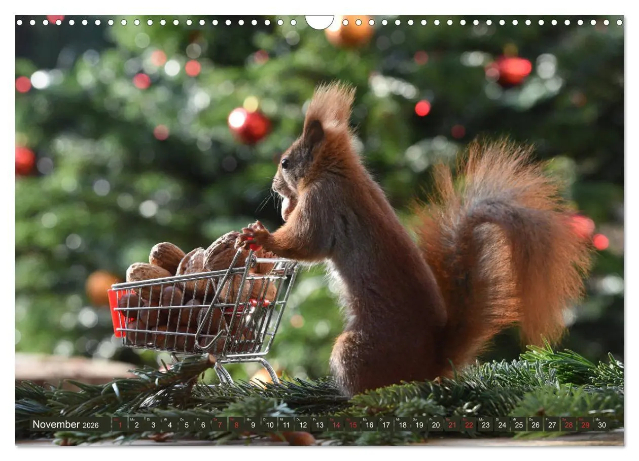 Bild: 9783516021752 | Neuer Spaß mit Eichhörnchen-Kindern (Wandkalender 2026 DIN A3...