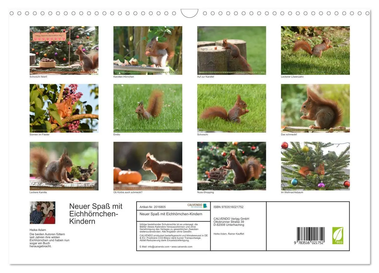 Bild: 9783516021752 | Neuer Spaß mit Eichhörnchen-Kindern (Wandkalender 2026 DIN A3...