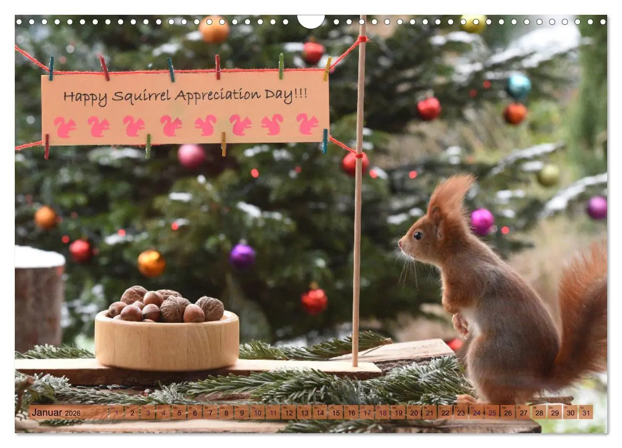 Bild: 9783516021752 | Neuer Spaß mit Eichhörnchen-Kindern (Wandkalender 2026 DIN A3...