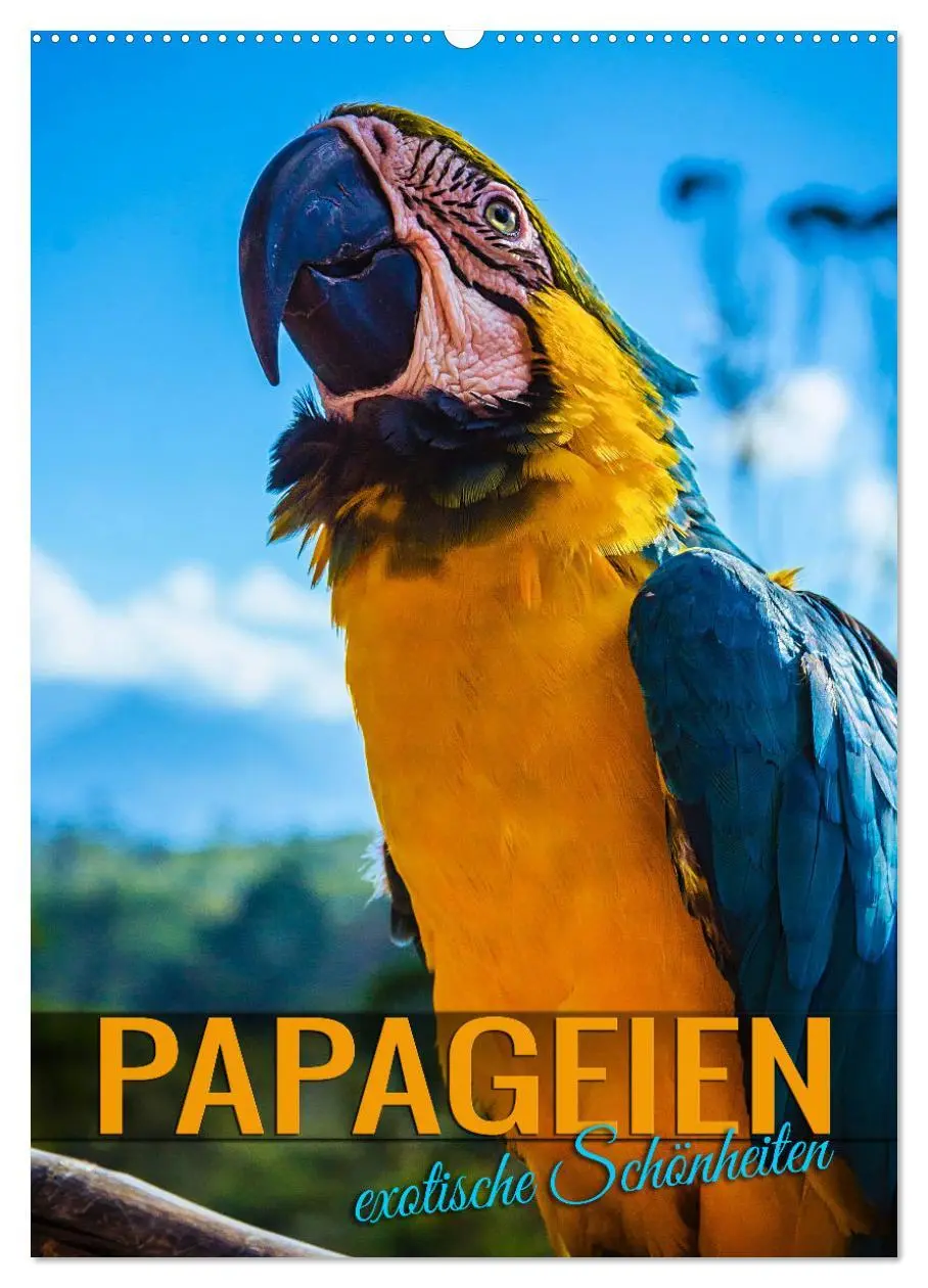 Cover: 9783516331752 | Papageien - exotische Schönheiten (Wandkalender 2026 DIN A2 hoch),...