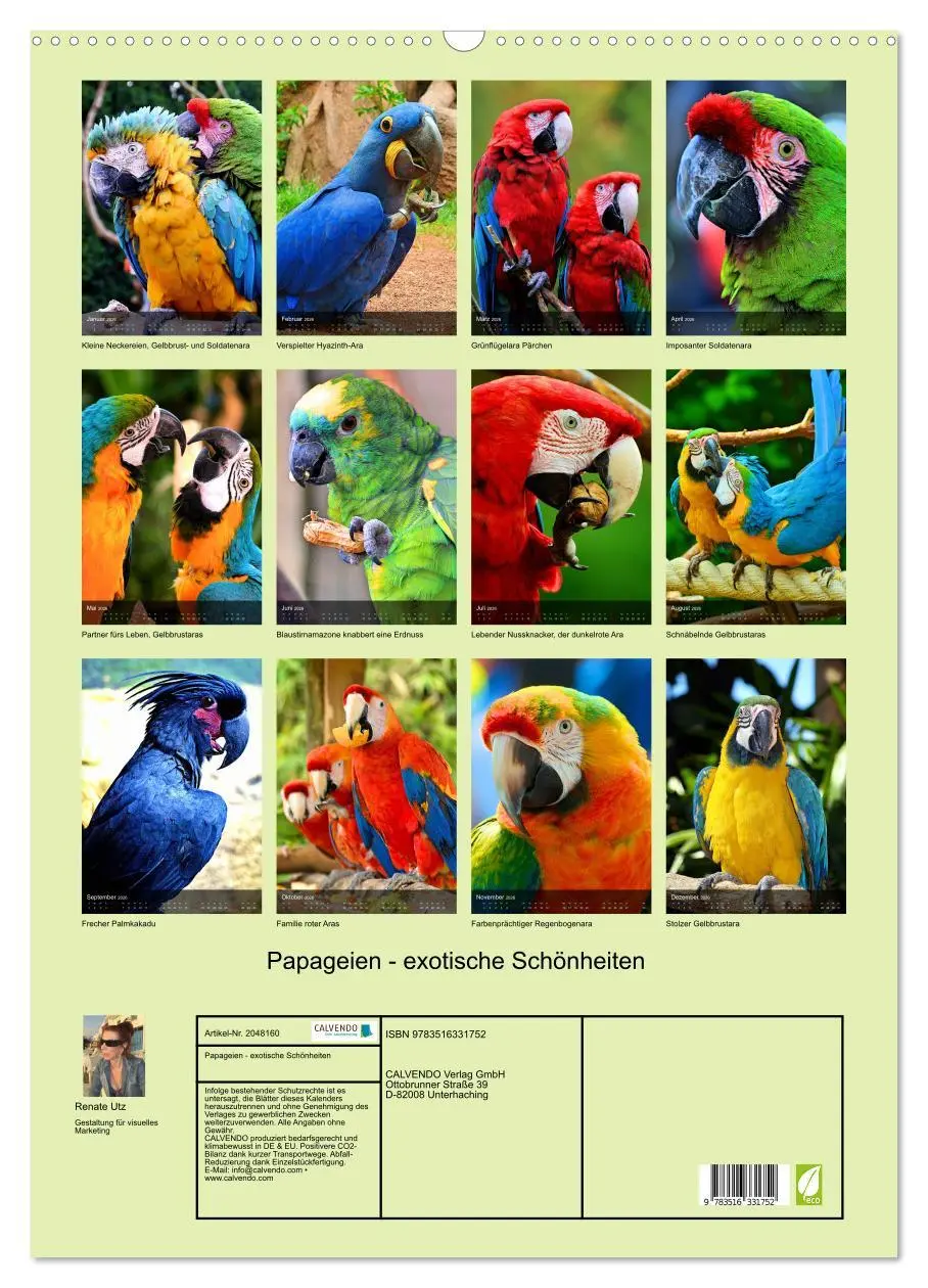 Bild: 9783516331752 | Papageien - exotische Schönheiten (Wandkalender 2026 DIN A2 hoch),...