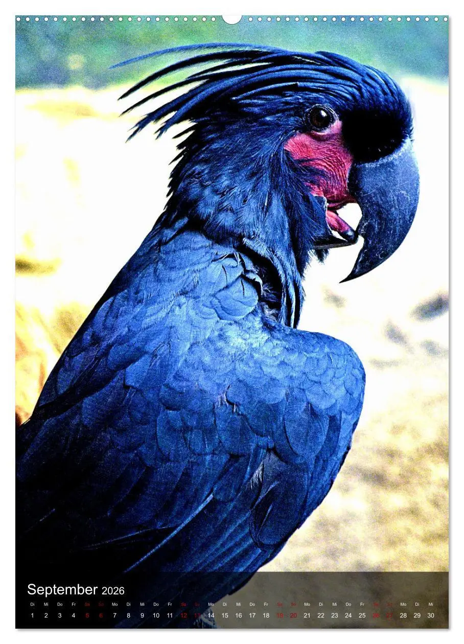 Bild: 9783516331752 | Papageien - exotische Schönheiten (Wandkalender 2026 DIN A2 hoch),...