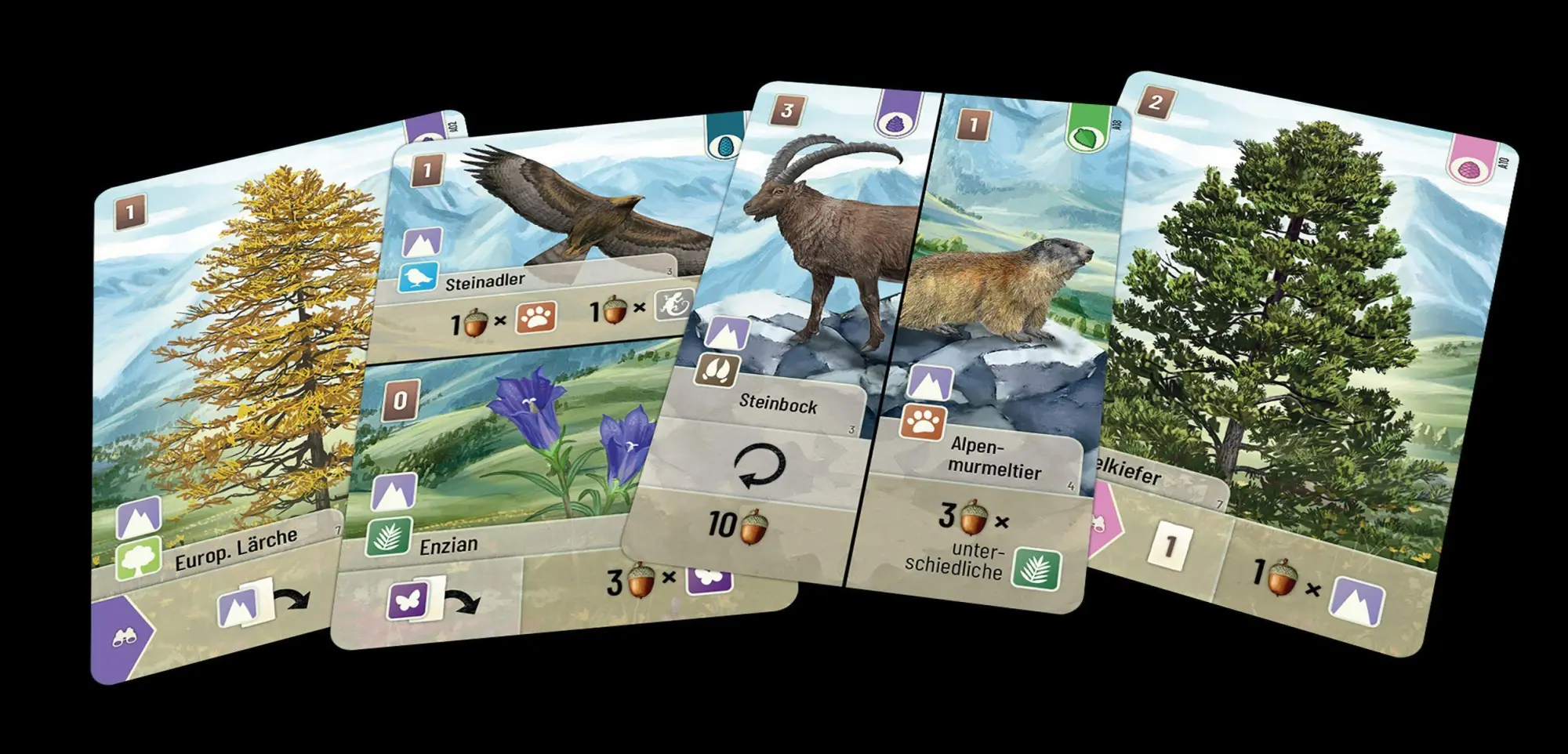 Bild: 4260402311852 | Mischwald - Alpin | Kosch | Spiel | Deutsch | 2024 | Asmodee gmbH