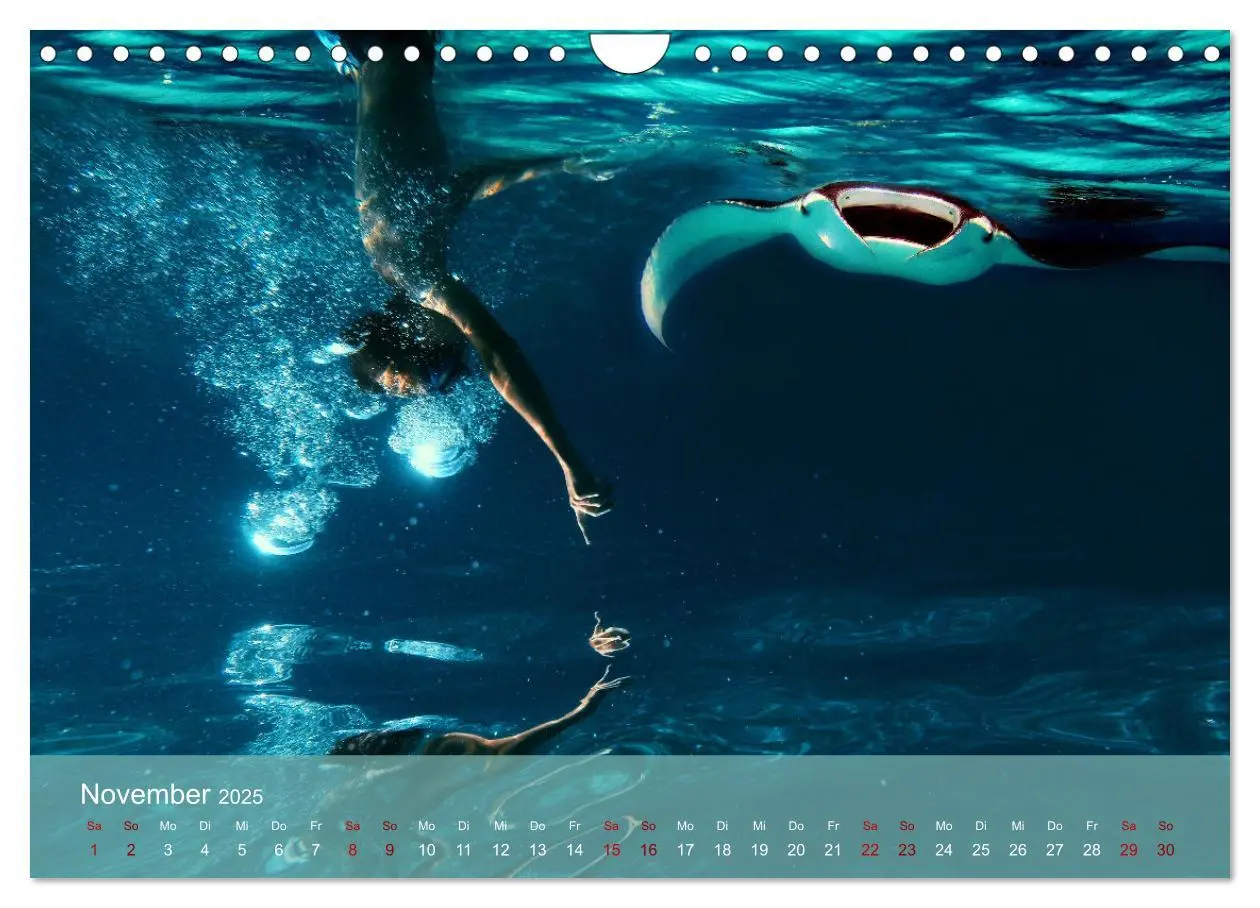 Bild: 9783383981852 | Erlebnis Tauchen - faszinierende Unterwasserwelt (Wandkalender 2025...