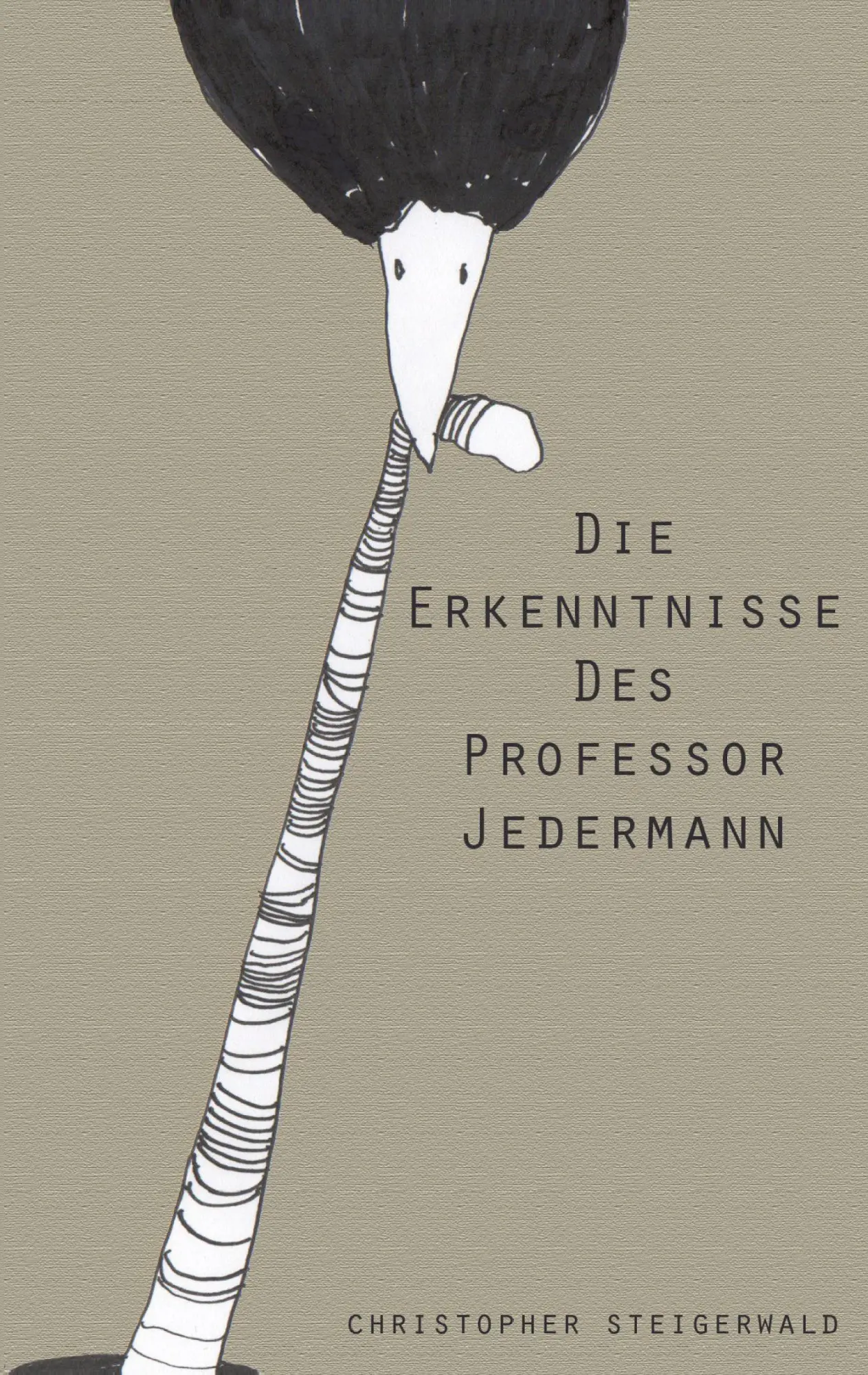 Cover: 9783734741852 | Die Erkenntnisse des Professor Jedermann | Christopher Steigerwald