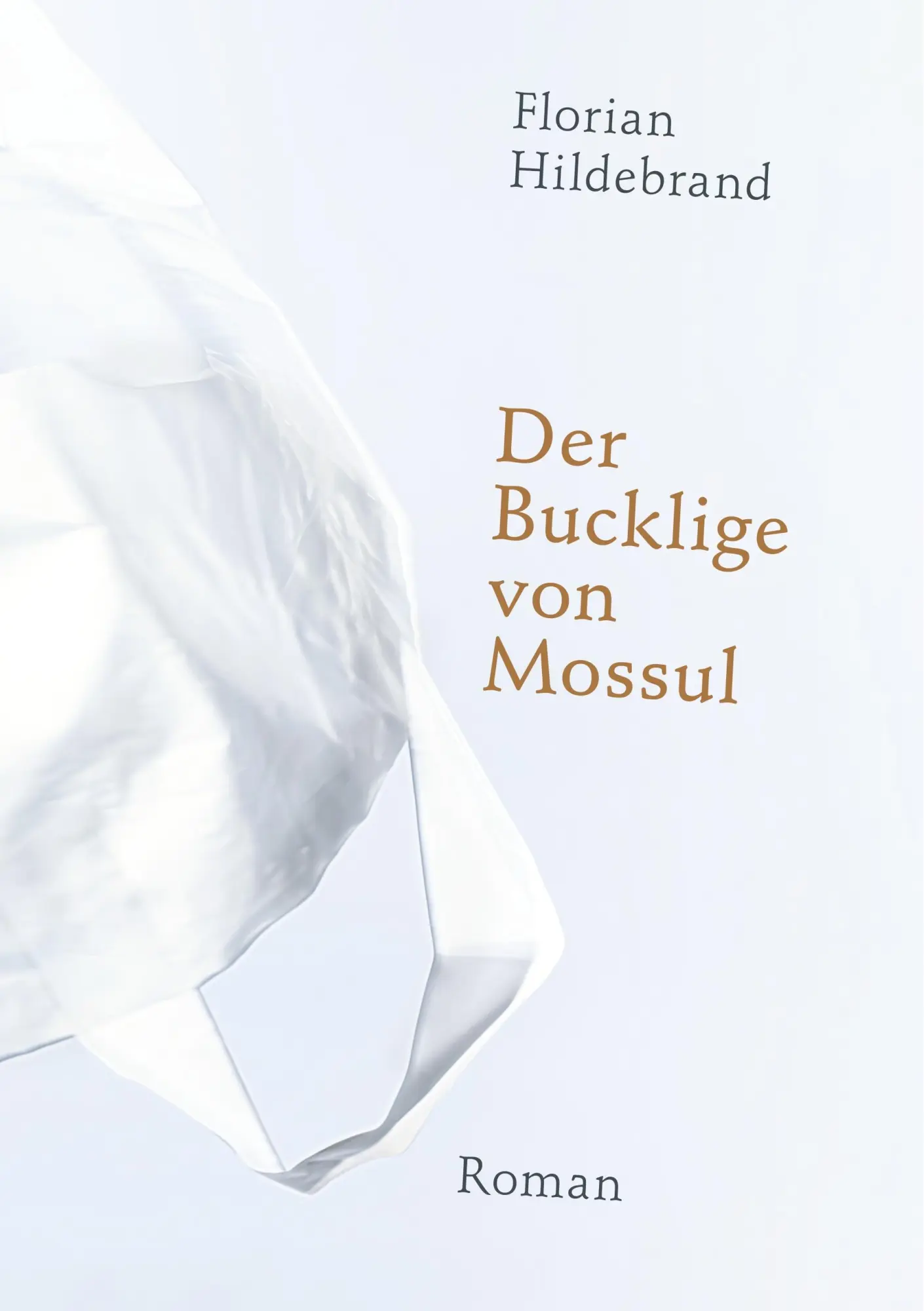 Der Bucklige von Mossul: Roman