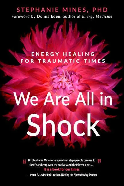 Cover: 9781632651952 | We Are All in Shock | Energy Healing for Traumatic Times | Mines