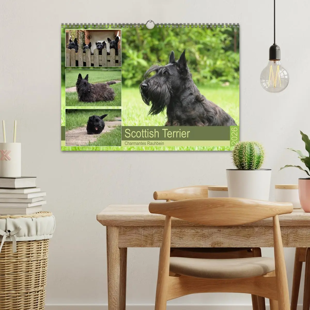 Bild: 9783457841952 | Scottish Terrier - Charmantes Rauhbein (Wandkalender 2026 DIN A3...