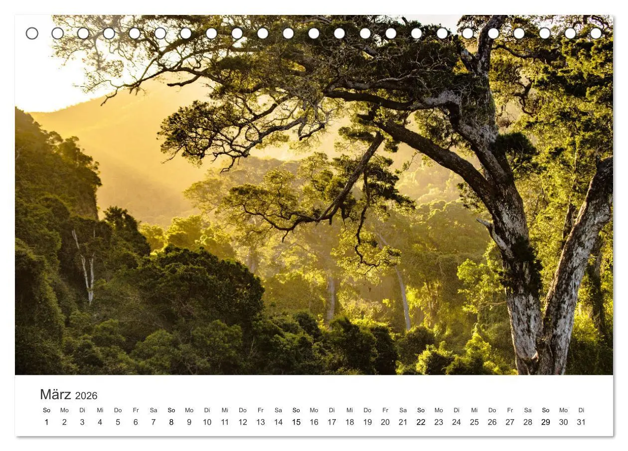 Bild: 9783457911952 | Bezauberndes Südafrika (Tischkalender 2026 DIN A5 quer), CALVENDO...