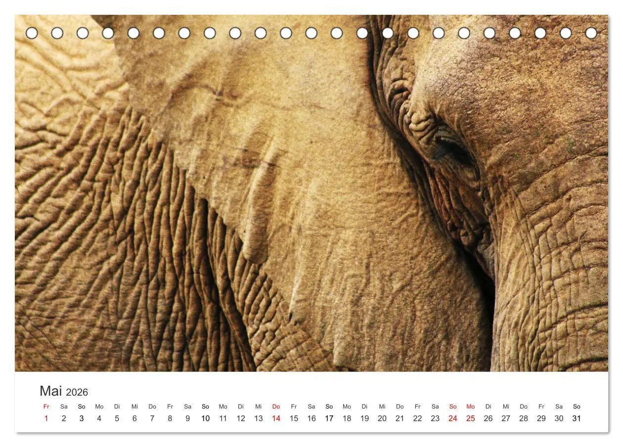 Bild: 9783457911952 | Bezauberndes Südafrika (Tischkalender 2026 DIN A5 quer), CALVENDO...