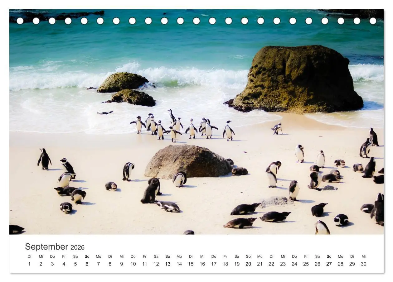 Bild: 9783457911952 | Bezauberndes Südafrika (Tischkalender 2026 DIN A5 quer), CALVENDO...