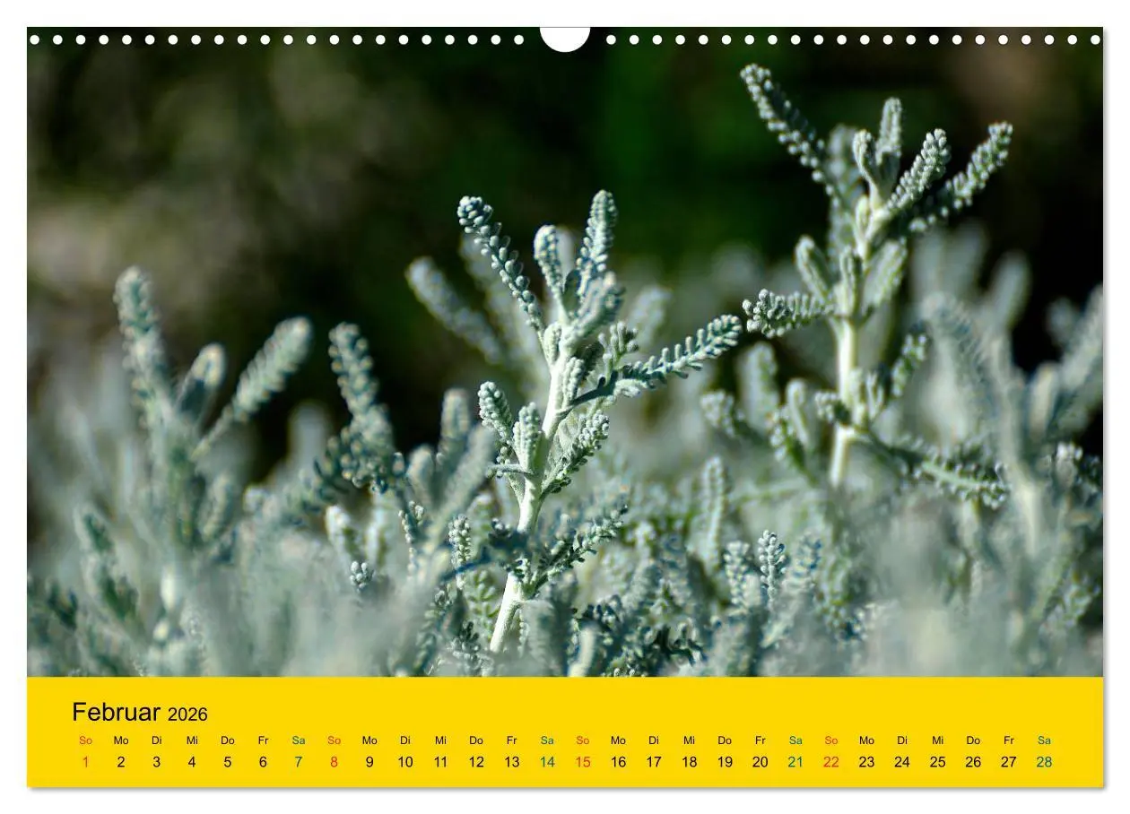 Bild: 9783516171952 | Heil- und Küchenkräuter (Wandkalender 2026 DIN A3 quer), CALVENDO...