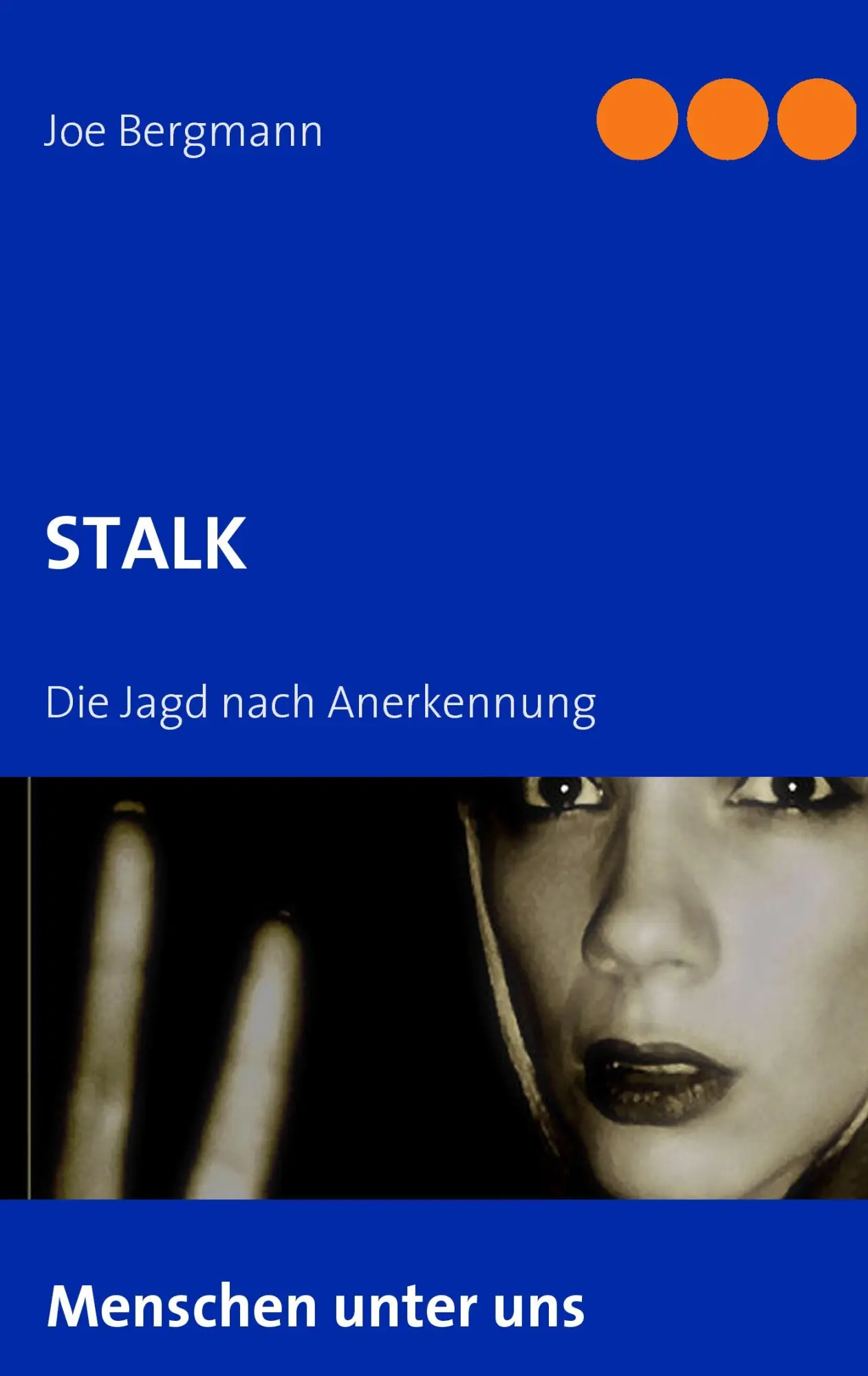 Cover: 9783837001952 | STALK | Die Jagd nach Anerkennung | Joe Bergmann (u. a.) | Taschenbuch