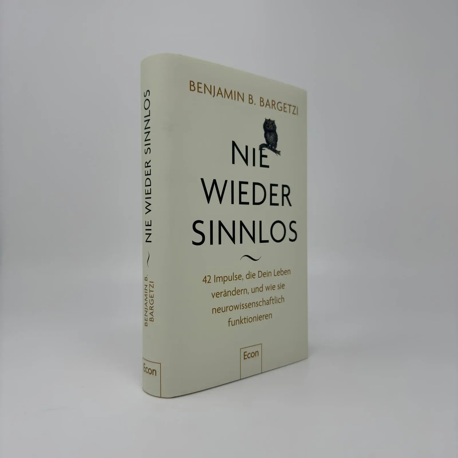Bild: 9783430212052 | Nie wieder sinnlos | Benjamin B. Bargetzi | Buch | 336 S. | Deutsch