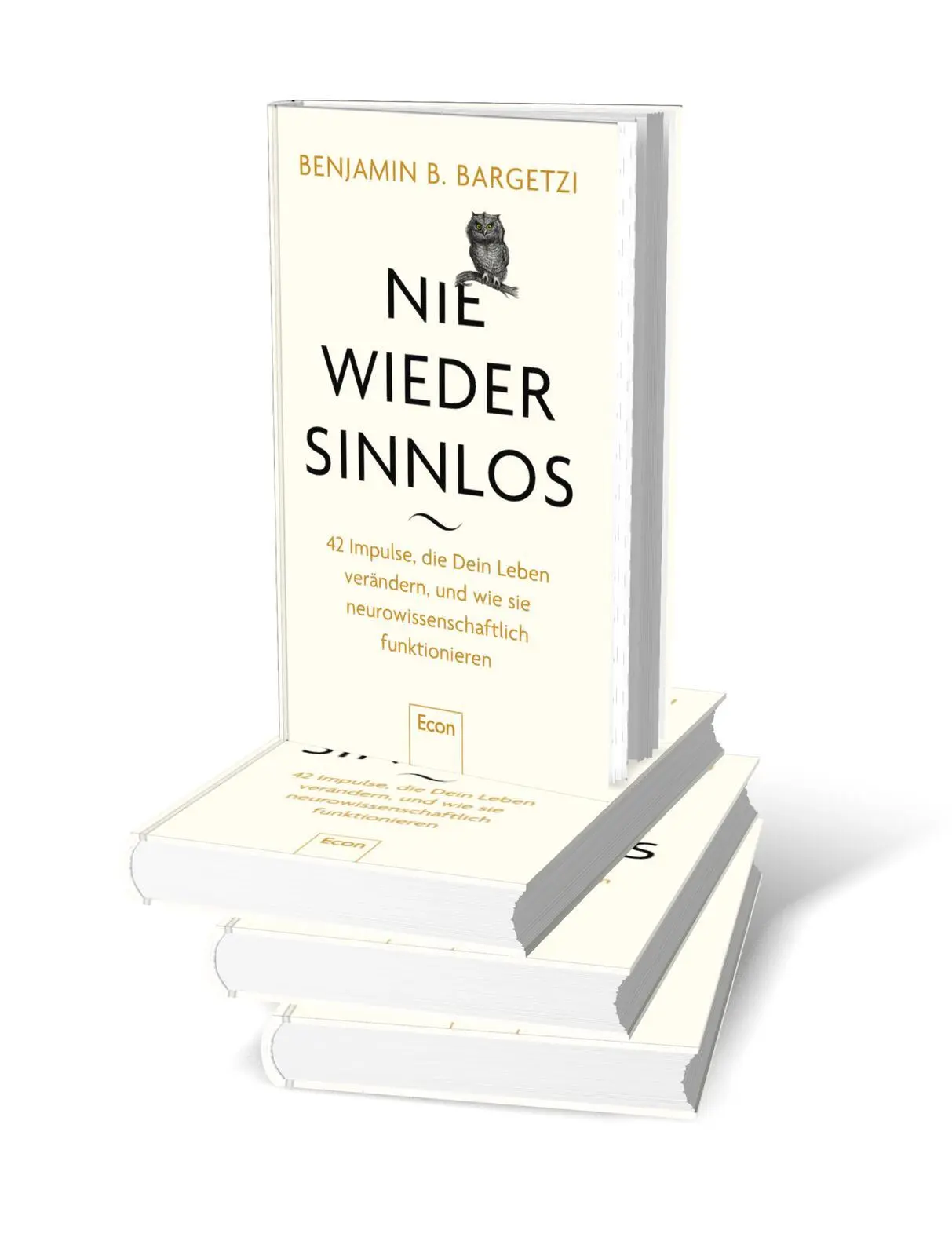 Bild: 9783430212052 | Nie wieder sinnlos | Benjamin B. Bargetzi | Buch | 336 S. | Deutsch