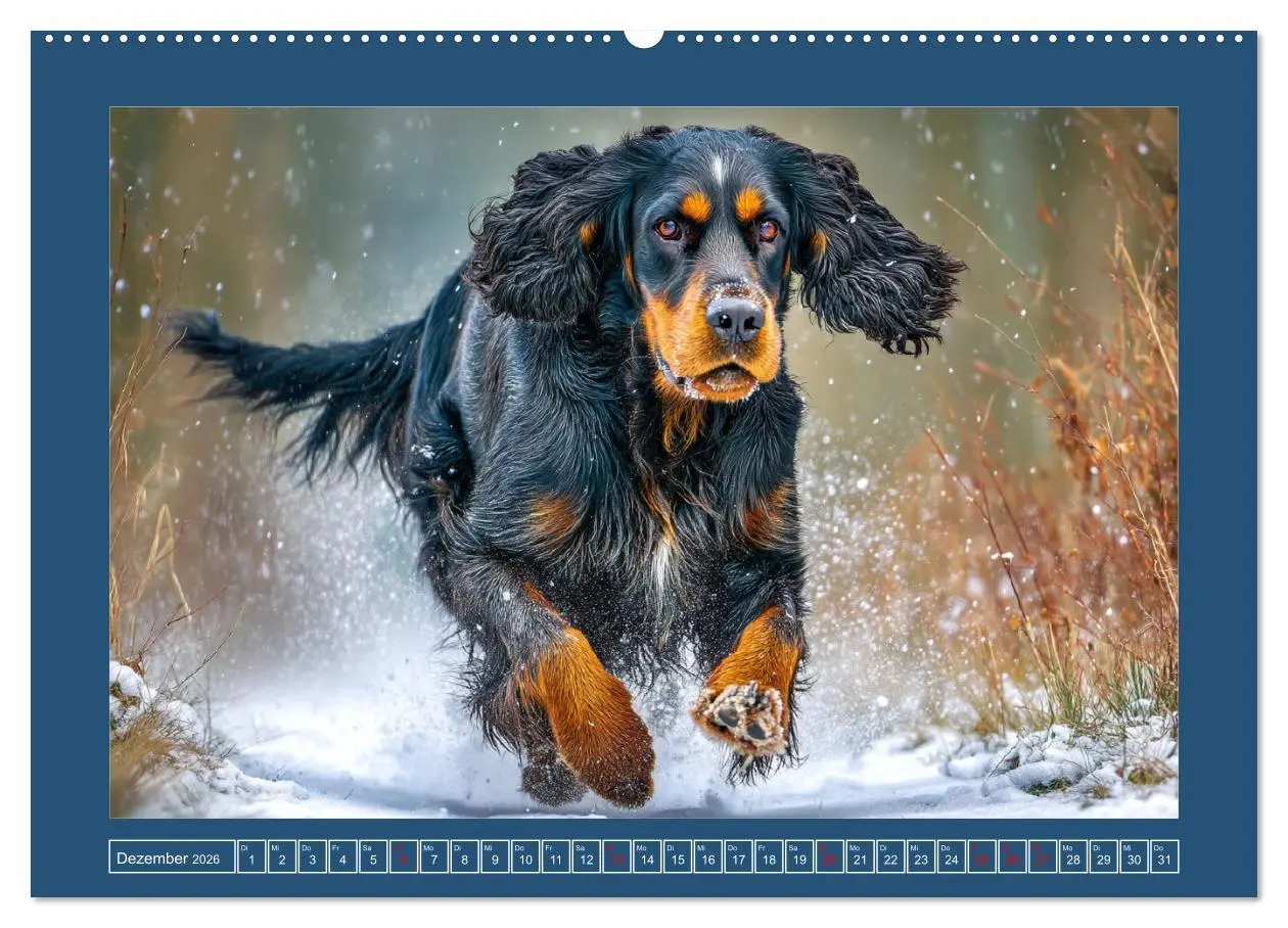 Bild: 9783457802052 | Gordon Setter. Edle Seelen in der Natur (hochwertiger Premium...