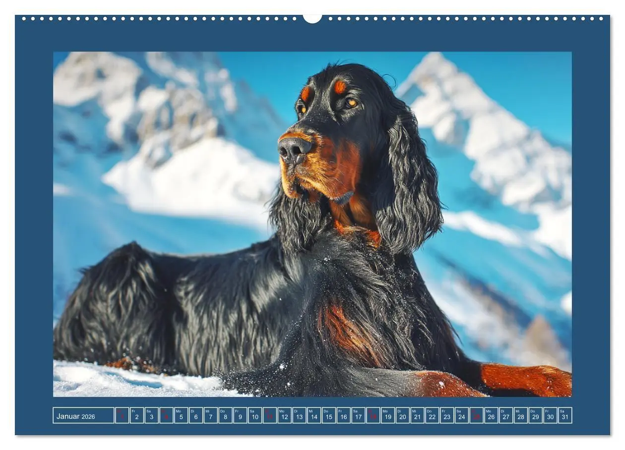Bild: 9783457802052 | Gordon Setter. Edle Seelen in der Natur (hochwertiger Premium...