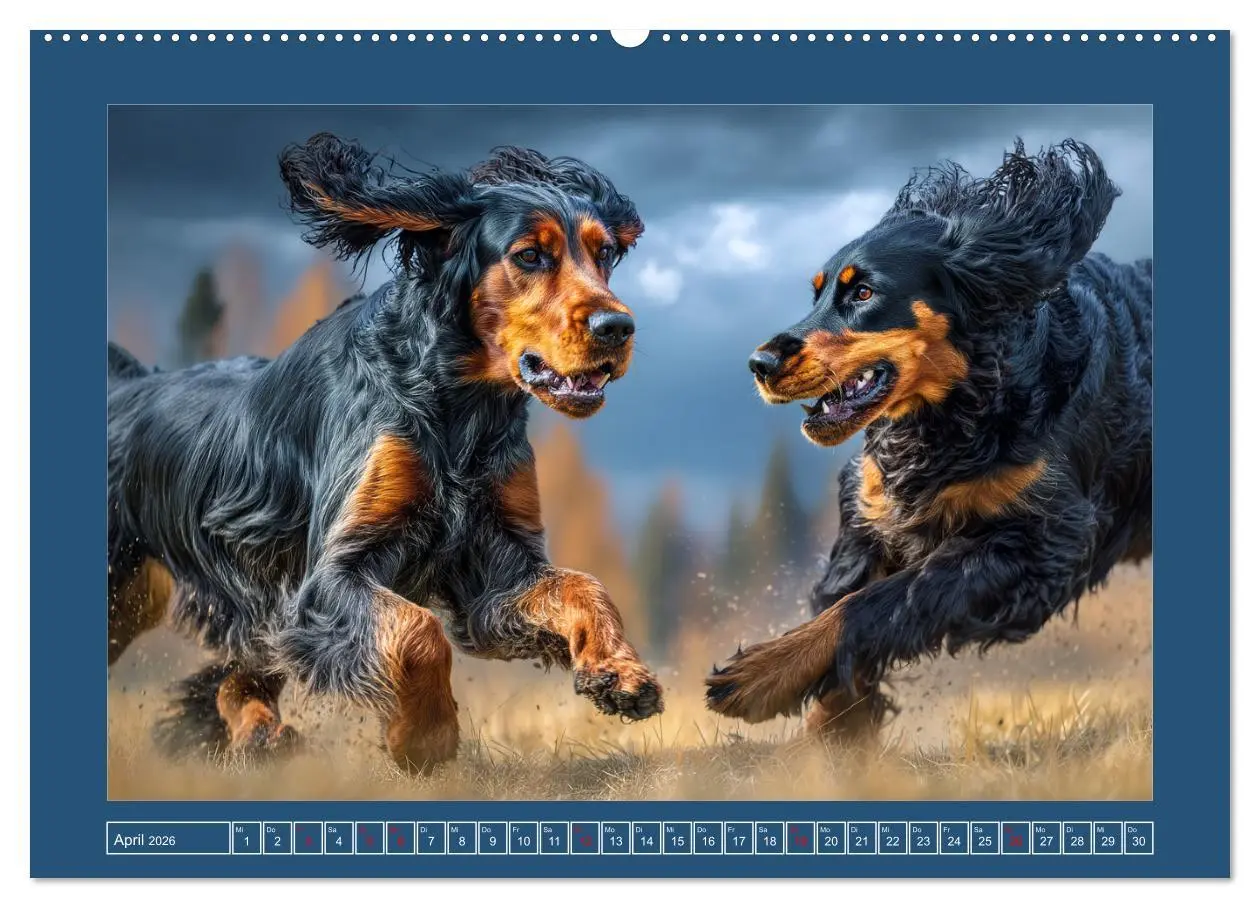 Bild: 9783457802052 | Gordon Setter. Edle Seelen in der Natur (hochwertiger Premium...
