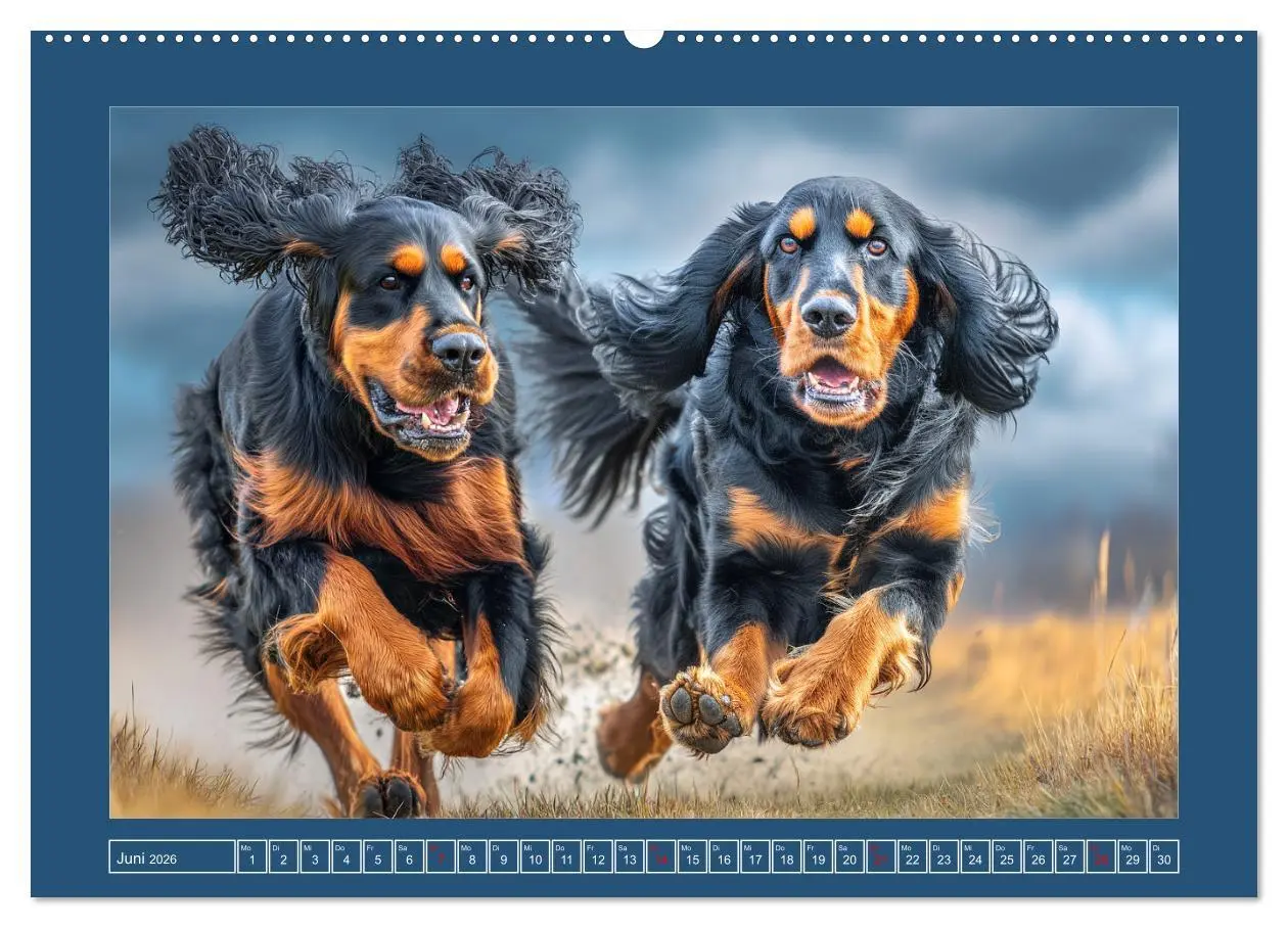 Bild: 9783457802052 | Gordon Setter. Edle Seelen in der Natur (hochwertiger Premium...