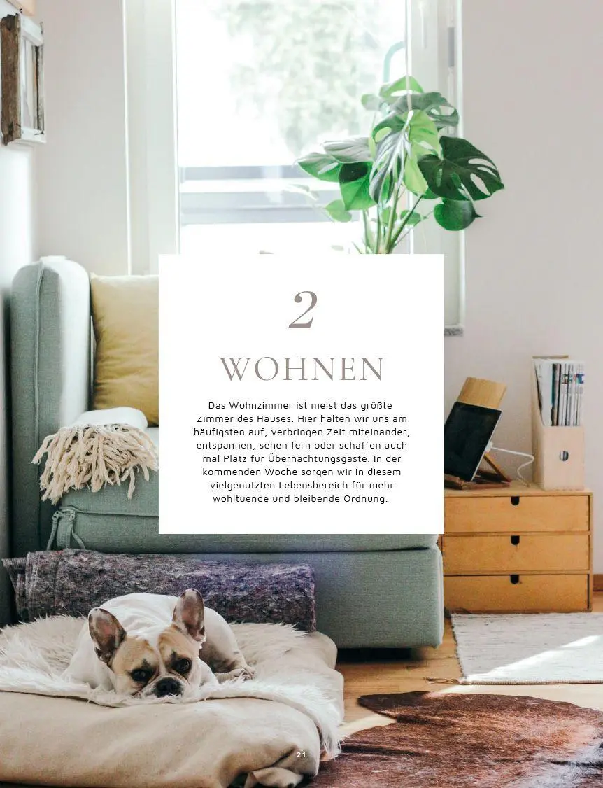 Bild: 9783735852052 | Zeit statt Zeug: Die Aufräum-Challenge. | Birgit Fazis | Buch | 160 S.