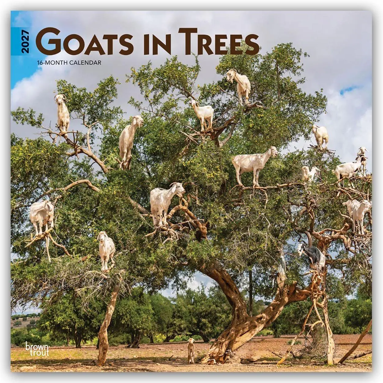 Cover: 9798330712052 | Goats in Trees - Ziegen in Bäumen 2027 - 16-Monatskalender | Kalender