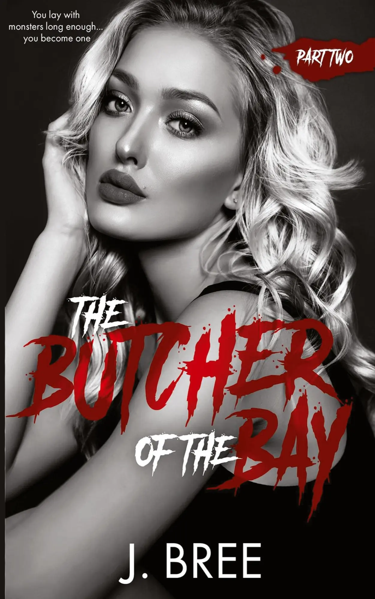 Cover: 9781923072152 | Butcher of the Bay | Part II | J. Bree | Taschenbuch | Englisch | 2023