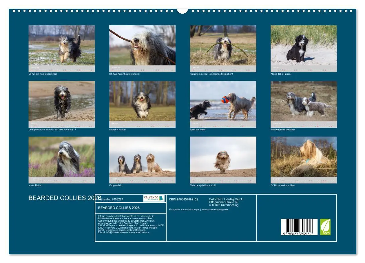 Bild: 9783457892152 | BEARDED COLLIES 2026 (hochwertiger Premium Wandkalender 2026 DIN A2...