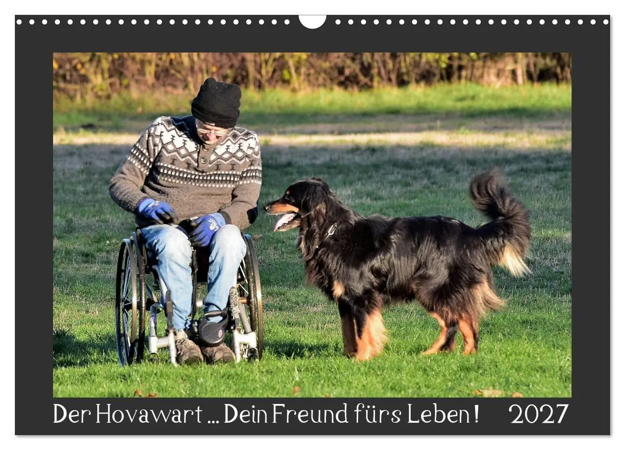 Cover: 9783569692152 | Der Hovawart... Dein Freund fürs Leben! (Wandkalender 2027 DIN A3...